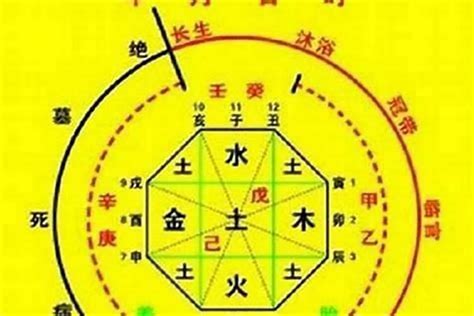 有情之克|八字学习：天干地支的合化的最详细的理解（转）